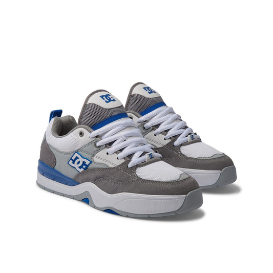 Tenis DC Shoes Ascend XWSB