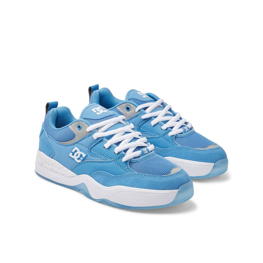 Tenis DC Shoes Ascend C0