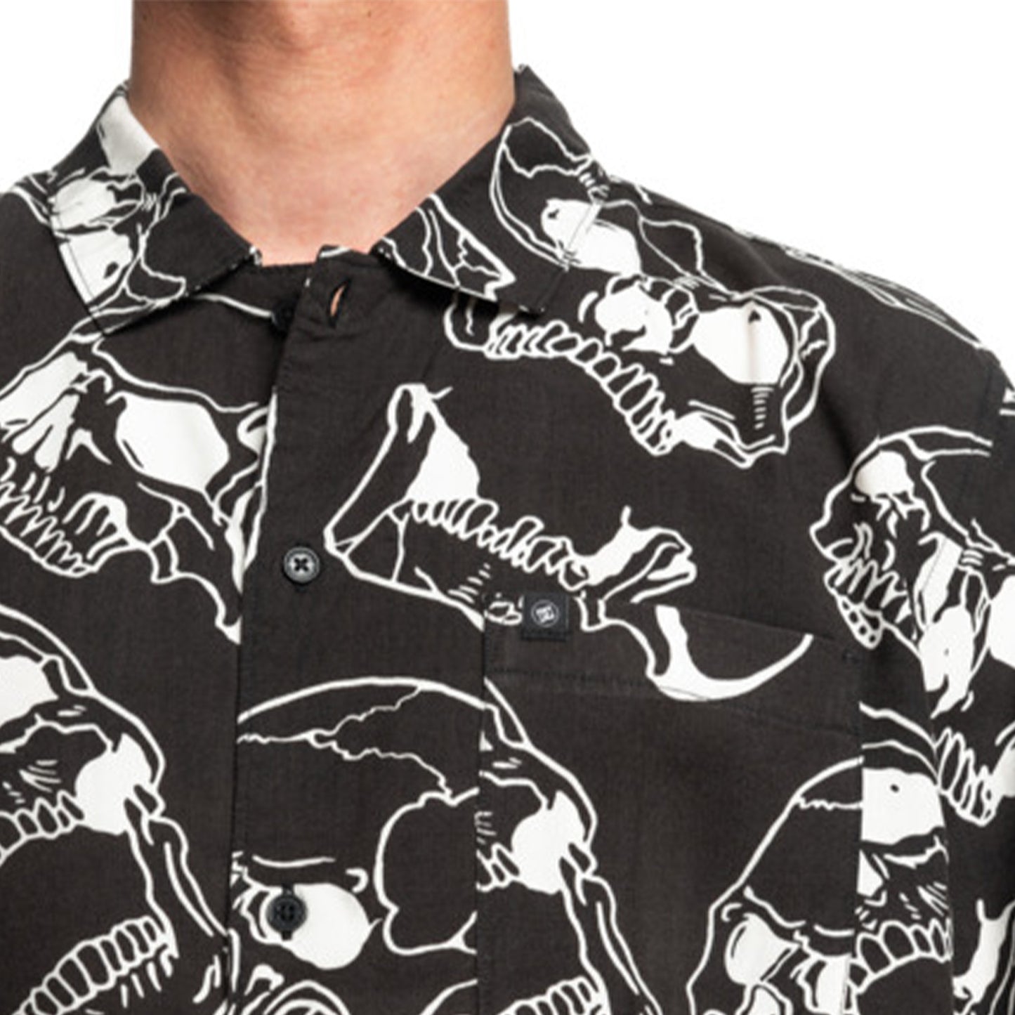Camisa Manga Corta Skull DC Shoes