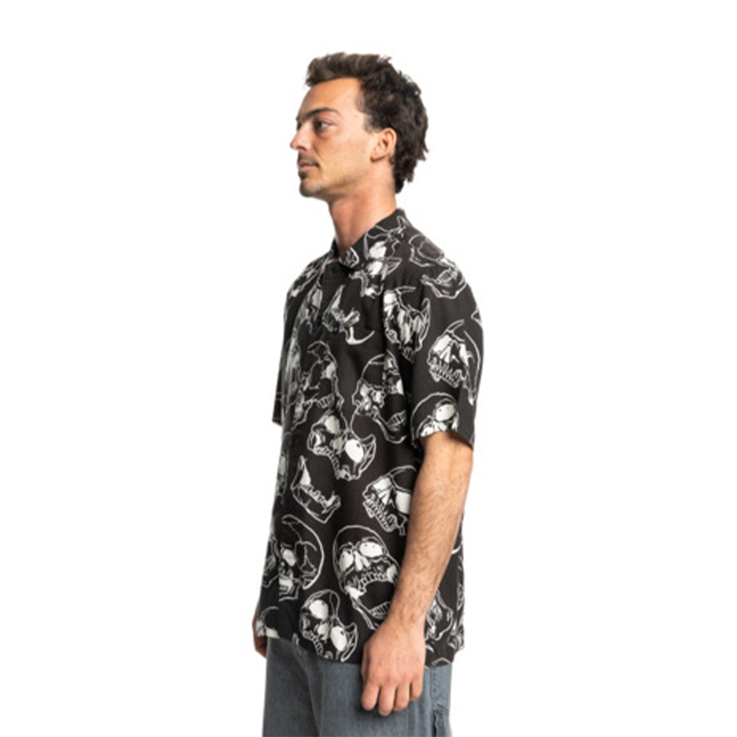Camisa Manga Corta Skull DC Shoes